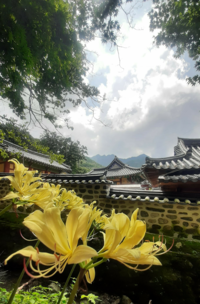 Srpen v klášteře Kapsa